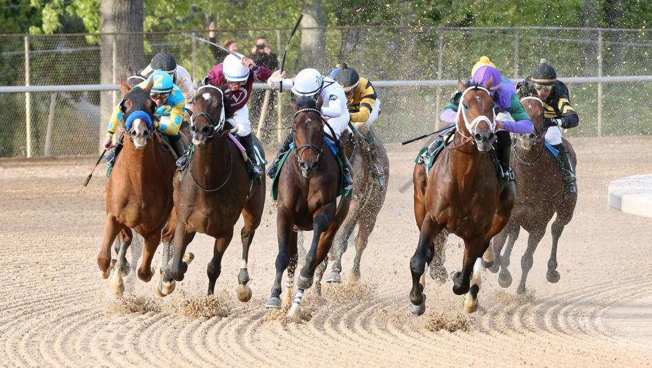 Magnum Moon shook clear at the top of the Oaklawn Park stretch en route to a dominant victory in the Grade 1 Arkansas Derby
